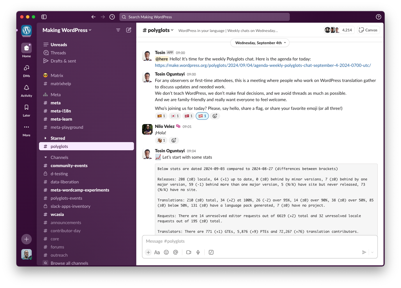 View of the WordPress.org Slack Interface